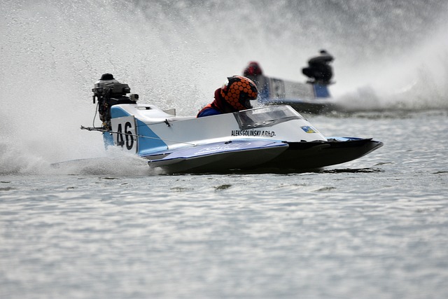 取得了显著 取得了显著