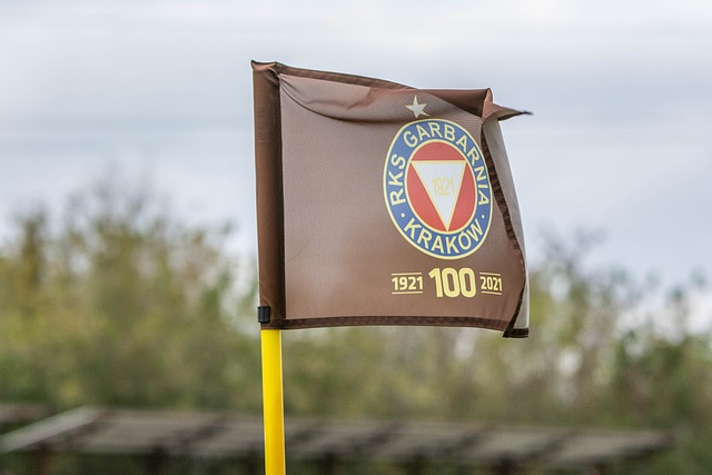 哪个人又能 哪个人又能