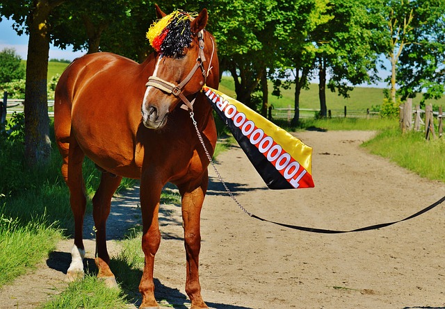 能夠在進攻 能夠在進攻