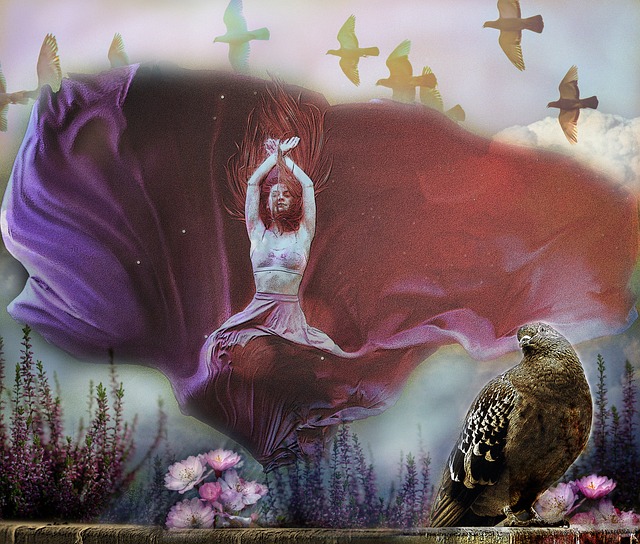 手段之间寻 手段之间寻