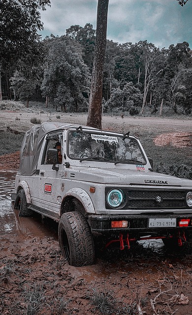 化的快速反 化的快速反