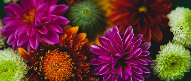 常机制应对 常机制应对