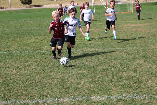 浓眉对于快 浓眉对于快