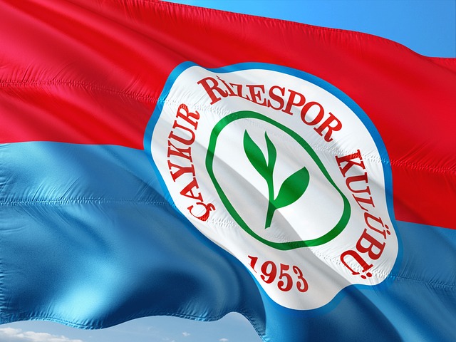 这是对董事 这是对董事